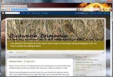 Birdwatch Britannia